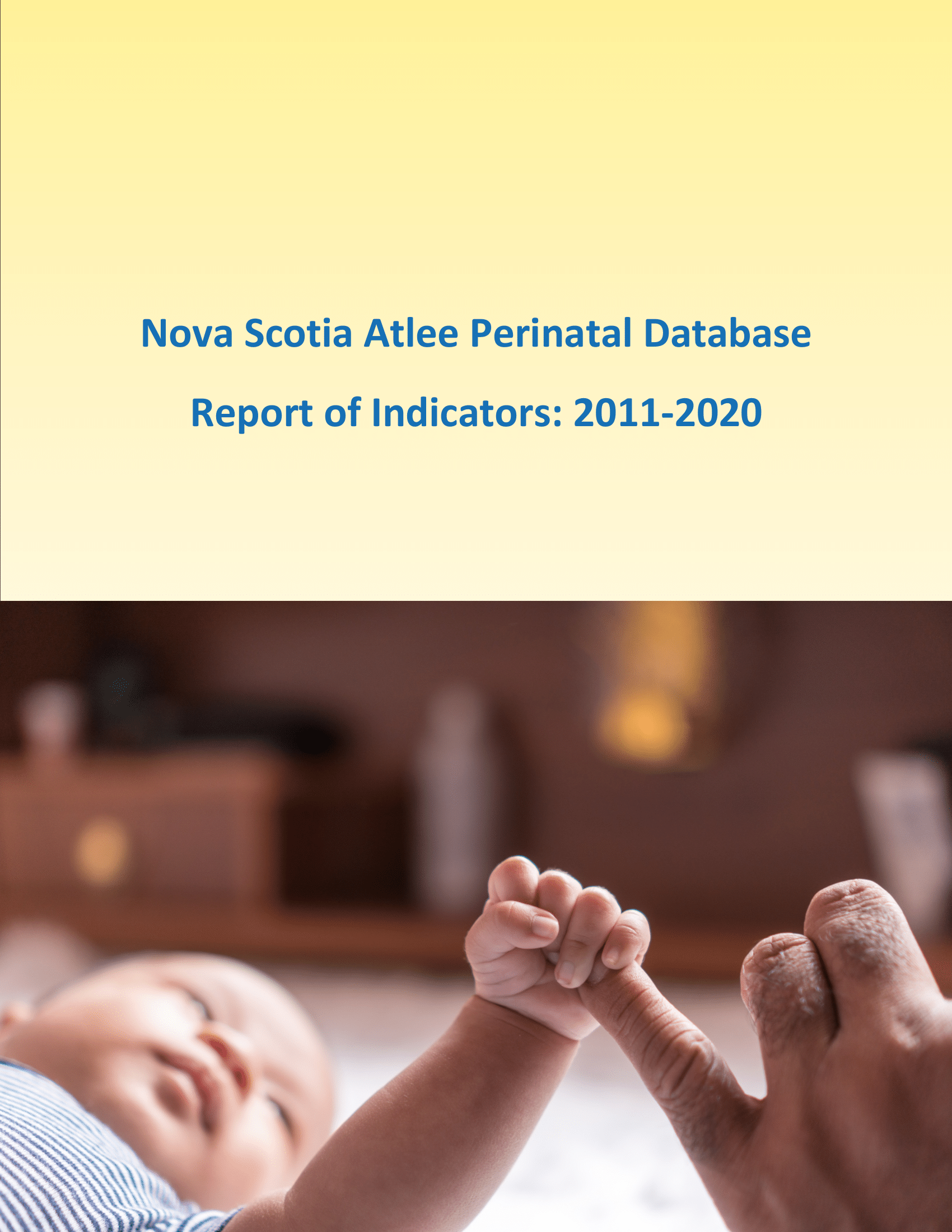 The NS Atlee Perinatal Database cover